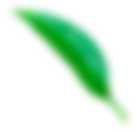 sheet